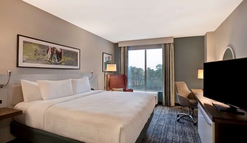 Habitación, 1 cama de matrimonio grande, accesible para personas con discapacidad (Hearing)