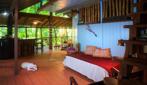 Casa de diseño en un árbol