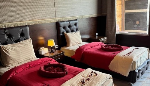 Habitación Deluxe con 2 camas individuales