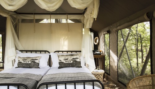 Tienda de lujo, 1 habitación