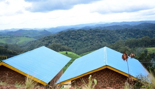 Habitación básica doble, vistas al parque