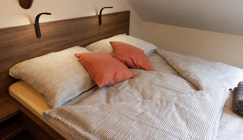 Habitación básica doble (7)