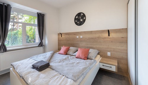 Apartamento estándar, 1 habitación, cocina (1)