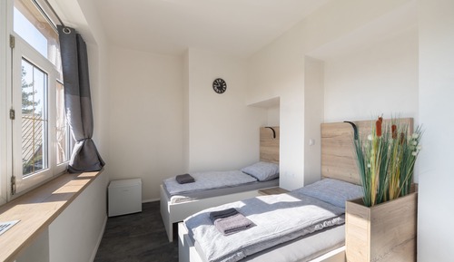 Habitación estándar con 2 camas individuales (3)