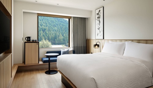 Habitación estándar, 1 cama de matrimonio grande, no fumadores