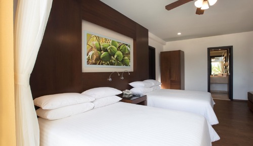 Habitación Deluxe, 2 camas dobles, vistas al jardín