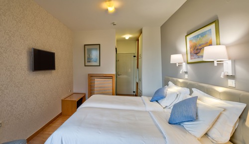 Habitación doble, vistas al jardín