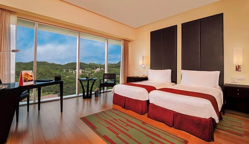 Habitación Deluxe, vistas al parque