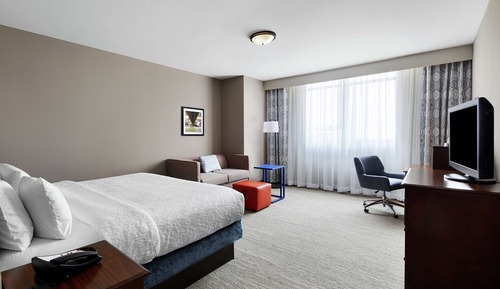 Habitación, 1 cama de matrimonio grande con sofá cama