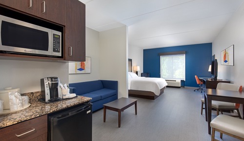 Suite, 1 cama de matrimonio grande (Additional Living Area)