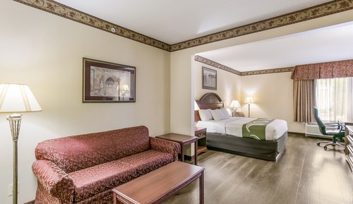 Suite, 1 cama de matrimonio grande con sofá cama