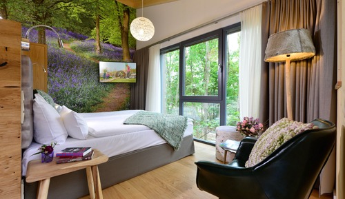 Casa en un árbol superior, vistas al jardín