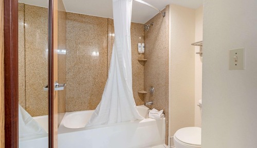 Habitación estándar, 1 cama de matrimonio grande, no fumadores