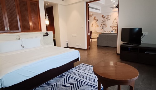 Suite de lujo, 1 habitación