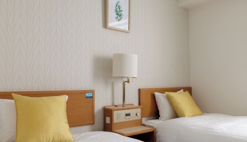 Habitación básica con 2 camas individuales, no fumadores