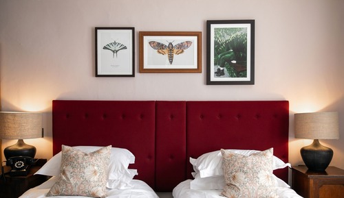 Habitación estándar con 2 camas individuales