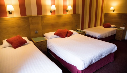 Habitación estándar con 2 camas individuales