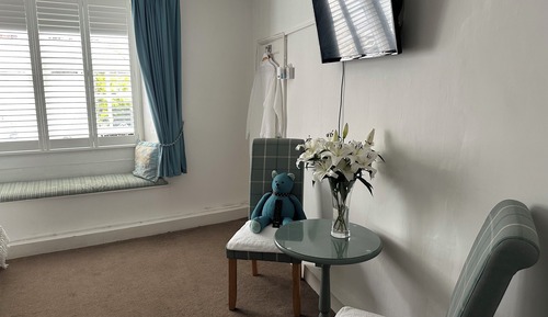 Habitación clásica con 1 cama doble o 2 individuales, vistas al jardín