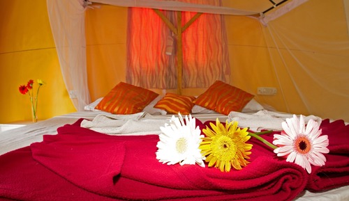 DELUXE AC GARDEN VIEW BEACH HUT