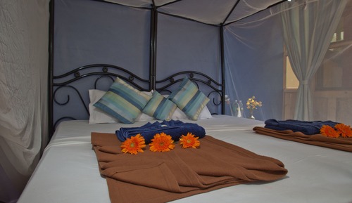 DELUXE AC SEA FACING BEACH HUT