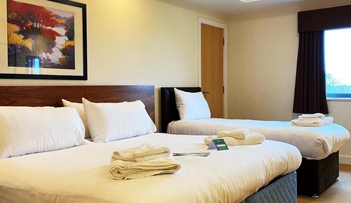 Suite Confort, baño privado (Family Room )