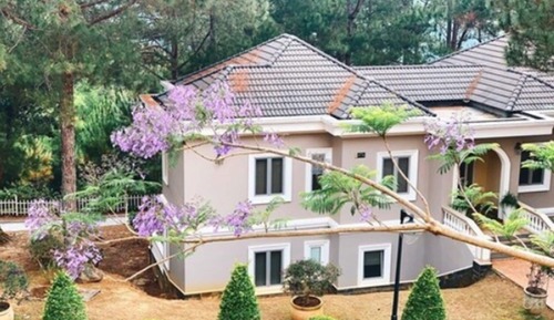 Suite junior, vistas al jardín