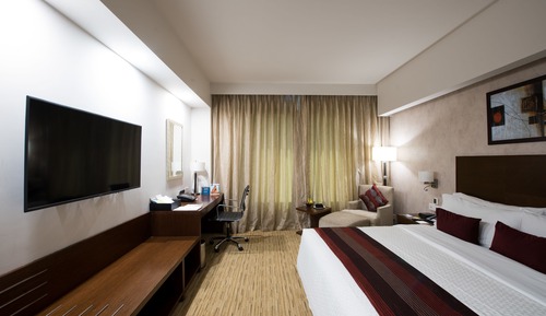 Estudio, 1 cama de matrimonio grande