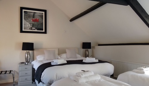 Suite familiar, 1 habitación