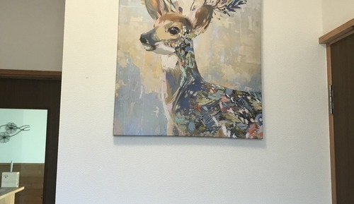 Casa (Private Vacation Home)