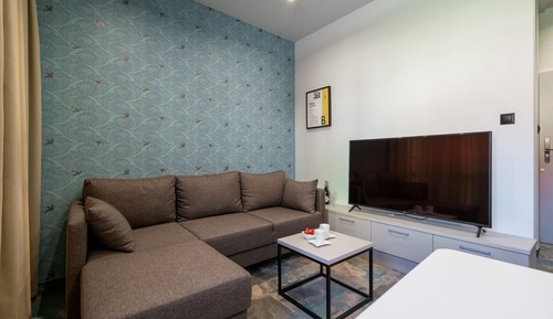Suite estudio Premium (Karp w galarecie - B)