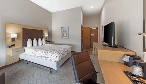 Habitación estándar, 1 cama de matrimonio grande, accesible para personas con discapacidad