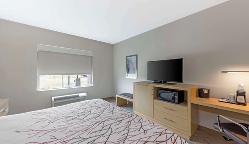 Habitación estándar, 1 cama de matrimonio grande, no fumadores, frigorífico y microondas