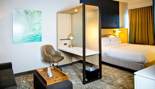 Suite, 1 cama de matrimonio grande con sofá cama