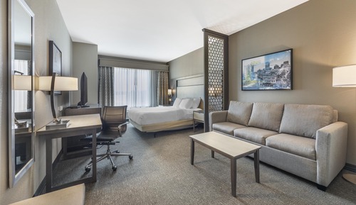 Suite, 1 cama de matrimonio grande, accesible para personas con discapacidad (with Sofabed)