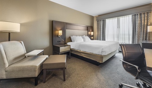 Habitación estándar, 1 cama de matrimonio grande, no fumadores (Walk-in Shower)