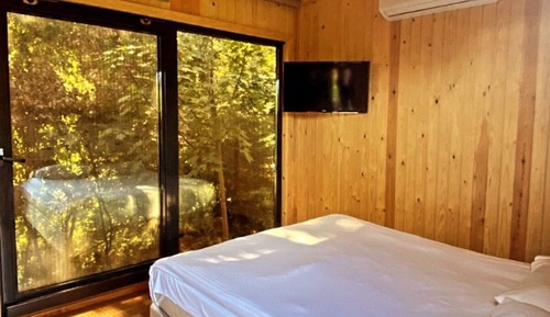 Estudio estándar, 1 habitación