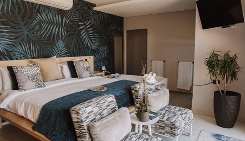 Suite de lujo, 1 habitación