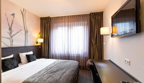 Habitación Confort con 1 cama doble o 2 individuales