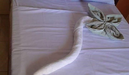 Habitación estándar doble