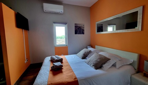 Habitación Confort doble, 1 cama doble, baño privado, vistas al jardín (Syrah)