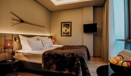 Habitación estándar doble, 1 cama de matrimonio, vistas a la montaña, junto a la montaña