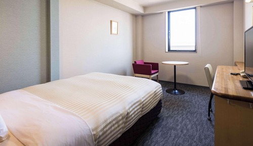 Habitación estándar, 1 cama doble, no fumadores