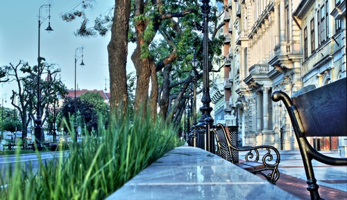 Habitación individual básica