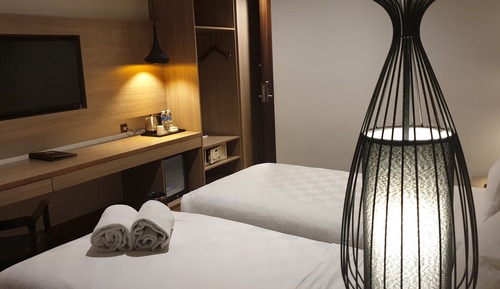 Habitación Deluxe con 2 camas individuales