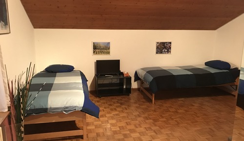 Habitación Signature con 1 cama doble o 2 individuales, vistas al viñedo (Cortis)