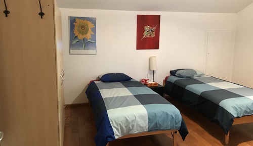 Habitación panorámica con 1 cama doble o 2 individuales, vistas al jardín (Saphira)