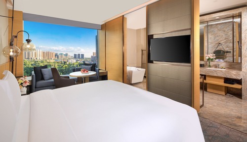 Habitación clásica, acceso al Business Lounge (Lounge Access)
