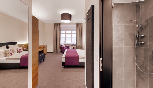 Habitación Confort doble (Alpenchic)