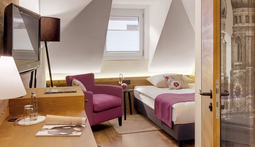 Habitación individual estándar (Alpenchic)