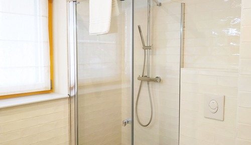 Habitación estándar, vistas parciales al lago